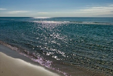 Jill Samsel - Gallery Photo