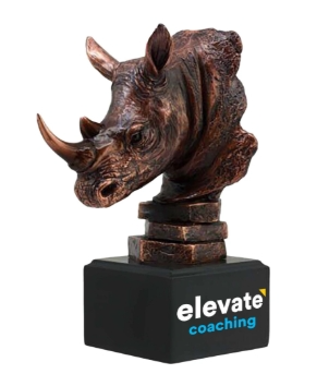 Rhino Coaching Award