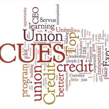 CUES Next Top Credit Union Executive Finalist 2012