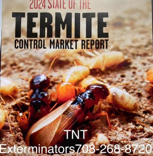 T.N.T Exterminators - Termite Control - Termite Inspector - Pest Control - Gallery Photo