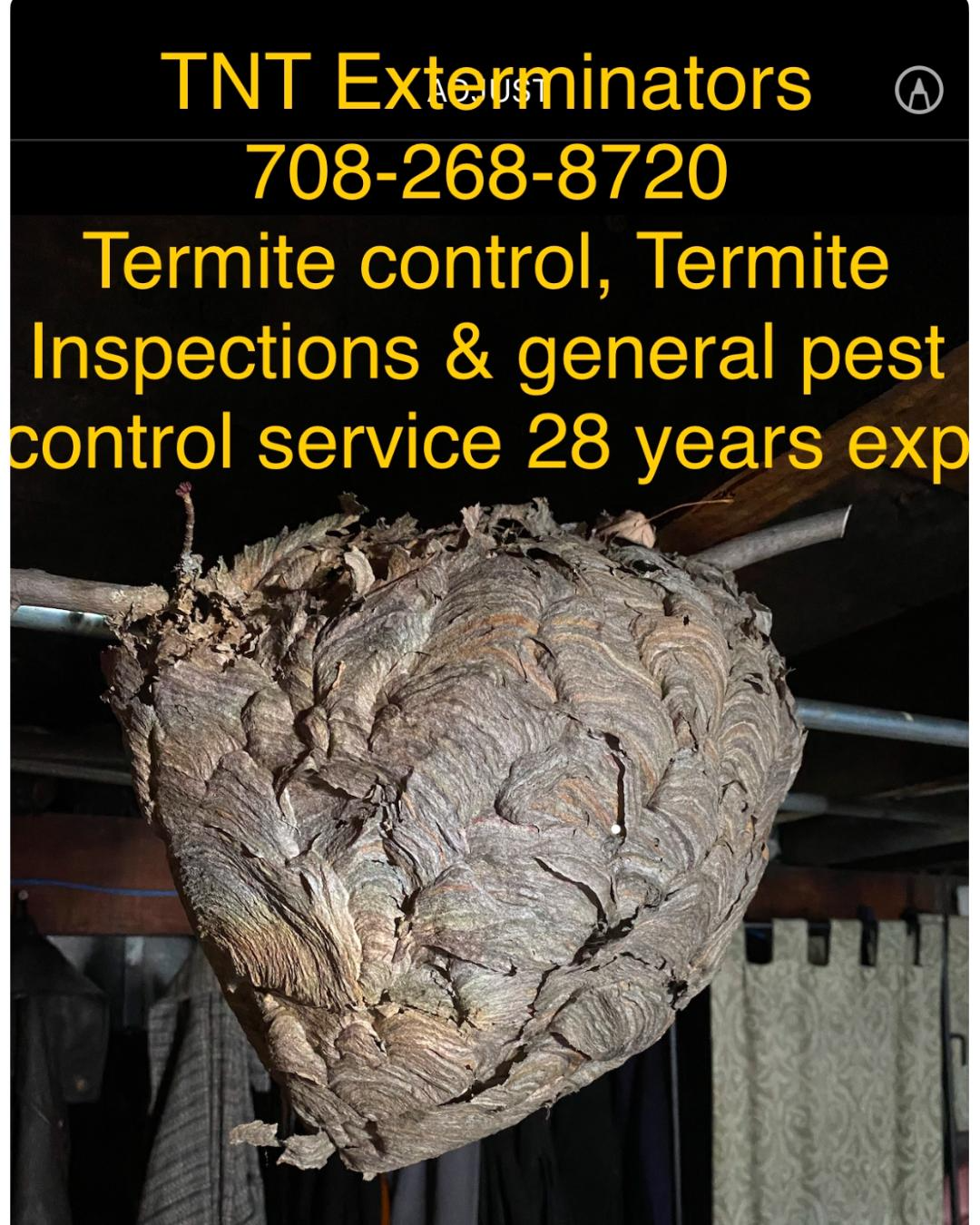 T.N.T Exterminators - Termite Control - Termite Inspector - Pest Control - Gallery Photo