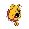 Ferris State University