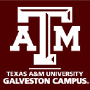 Texas A&M University at Galveston